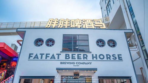 廈門(mén)藝術(shù)西區(qū) 前身是水產(chǎn)加工廠,如今成為年輕文化搖籃